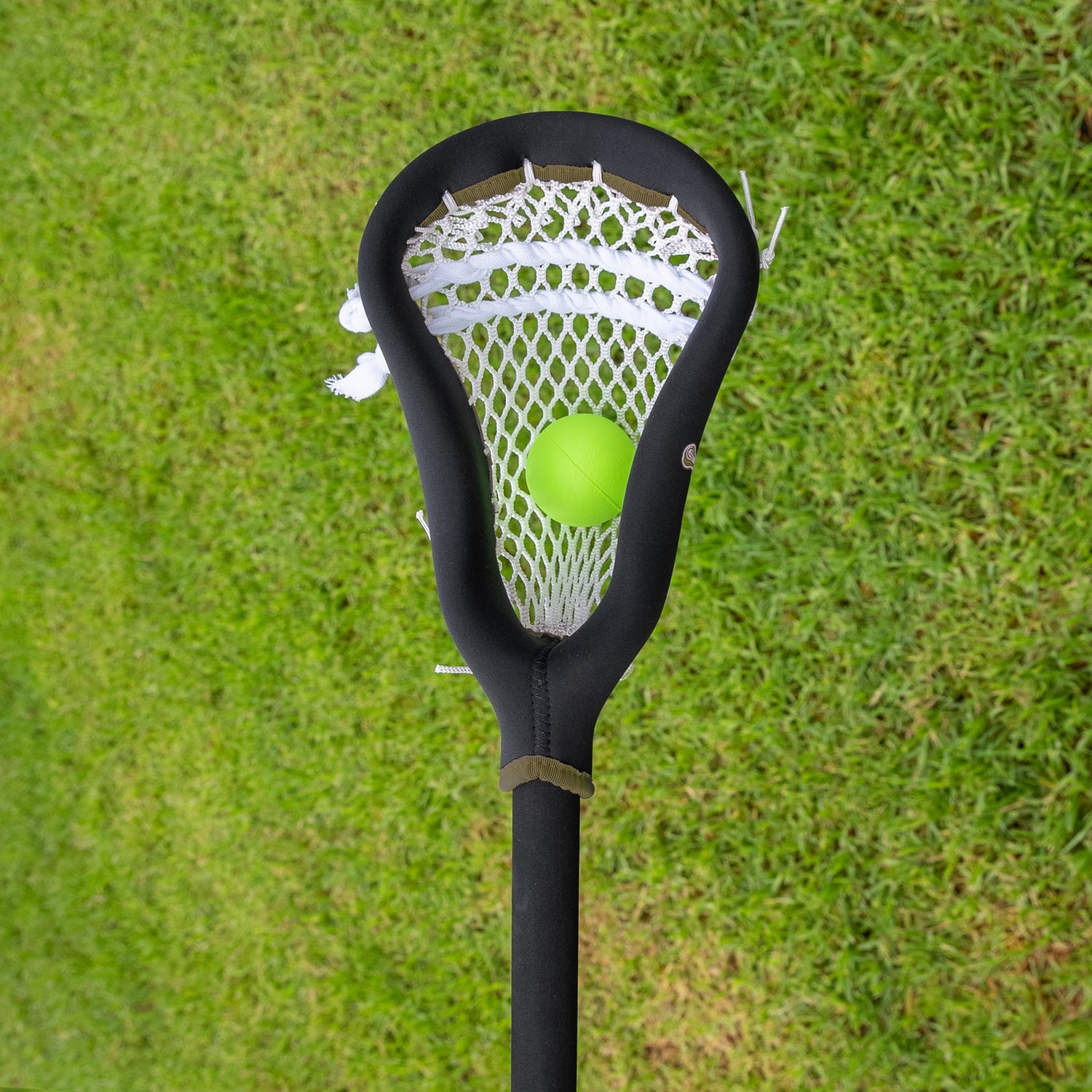 The Salute to Service